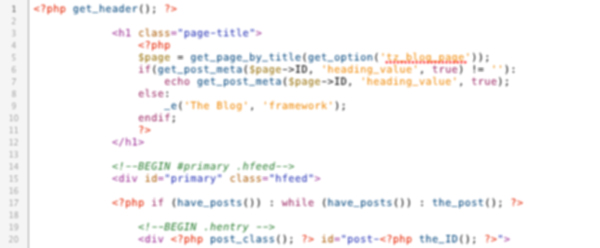 Web Development